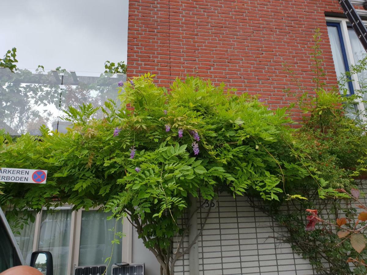 Johan'S B&B, Dakterras & Goedkoop Parkeren - Sinds 2014 Amsterdam Dış mekan fotoğraf